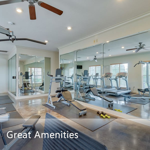 Features and Amenities
